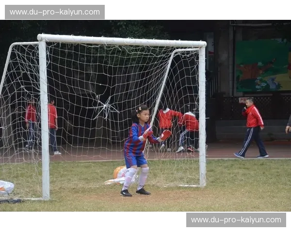 绿茵争锋:申鑫与贵州的“冰与火之歌”,谁才是那道永恒的足球光芒? 绿茵争锋:申鑫与贵州的“冰与火之歌”,谁才是那道永恒的足球光芒?